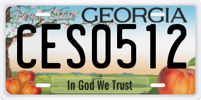 GA license plate CES0512