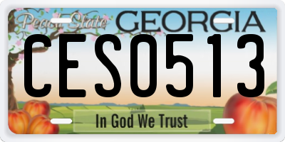 GA license plate CES0513