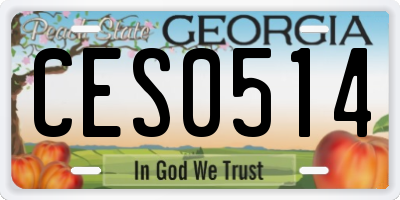 GA license plate CES0514