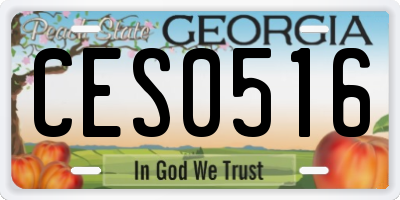 GA license plate CES0516