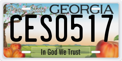 GA license plate CES0517