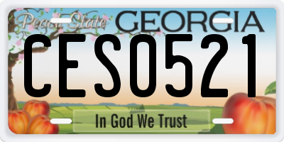 GA license plate CES0521