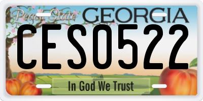 GA license plate CES0522