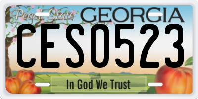 GA license plate CES0523
