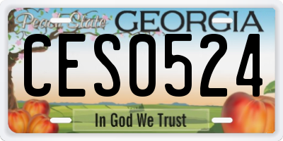 GA license plate CES0524