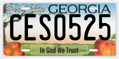 GA license plate CES0525