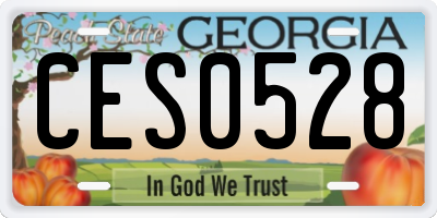 GA license plate CES0528