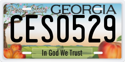 GA license plate CES0529