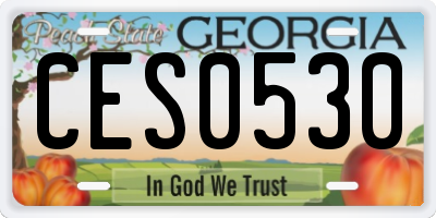 GA license plate CES0530