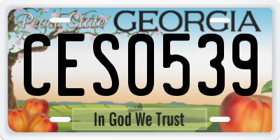 GA license plate CES0539