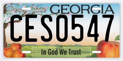 GA license plate CES0547