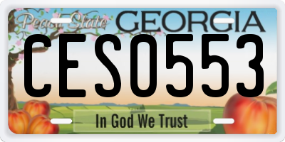 GA license plate CES0553