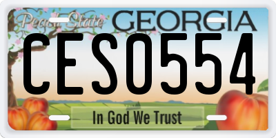 GA license plate CES0554