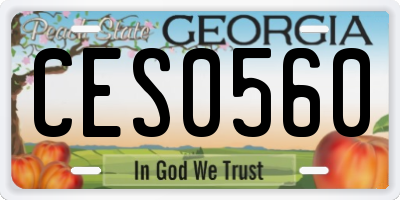 GA license plate CES0560