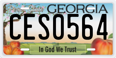 GA license plate CES0564