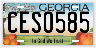 GA license plate CES0585