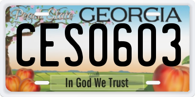 GA license plate CES0603