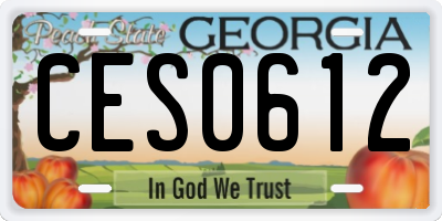 GA license plate CES0612