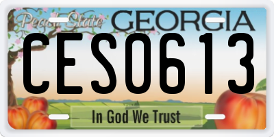GA license plate CES0613