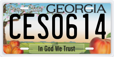 GA license plate CES0614