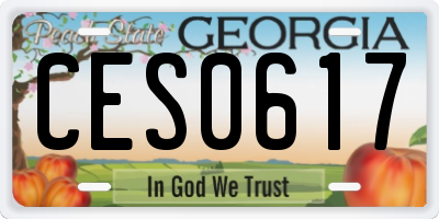 GA license plate CES0617