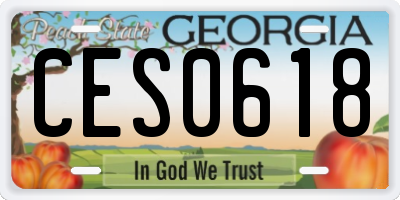 GA license plate CES0618