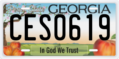 GA license plate CES0619