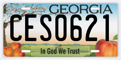 GA license plate CES0621