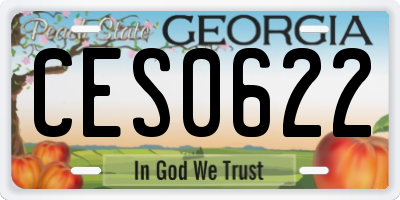 GA license plate CES0622