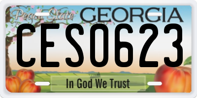 GA license plate CES0623