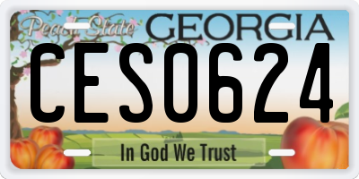 GA license plate CES0624