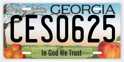 GA license plate CES0625