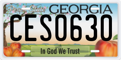 GA license plate CES0630