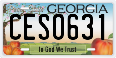 GA license plate CES0631