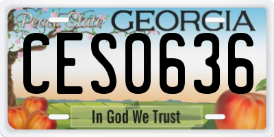 GA license plate CES0636