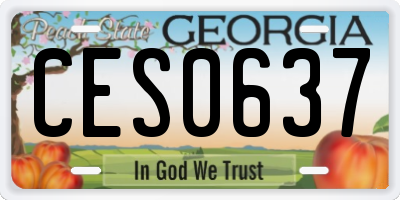 GA license plate CES0637