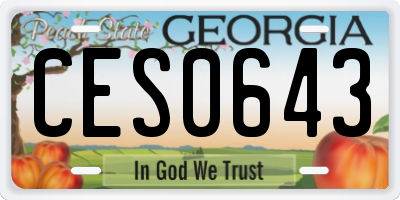 GA license plate CES0643