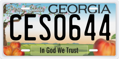 GA license plate CES0644