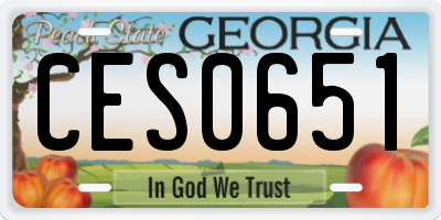 GA license plate CES0651