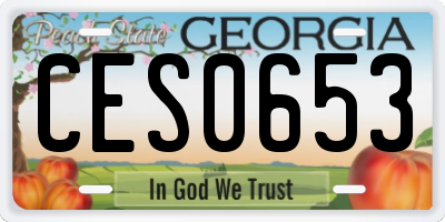 GA license plate CES0653