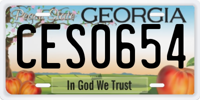 GA license plate CES0654