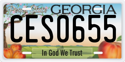 GA license plate CES0655