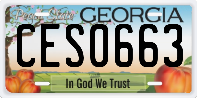GA license plate CES0663