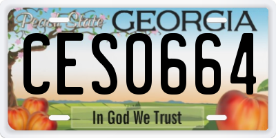 GA license plate CES0664