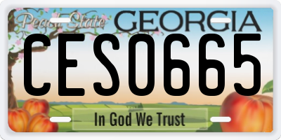 GA license plate CES0665