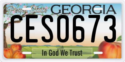 GA license plate CES0673