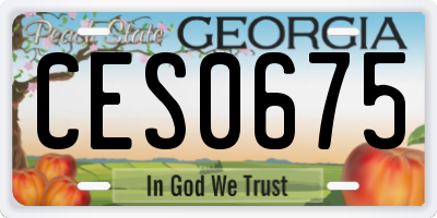 GA license plate CES0675