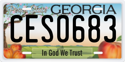 GA license plate CES0683