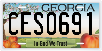GA license plate CES0691