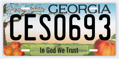 GA license plate CES0693